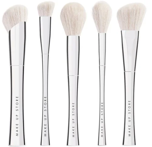 Make Up Store Brush set v:4761684