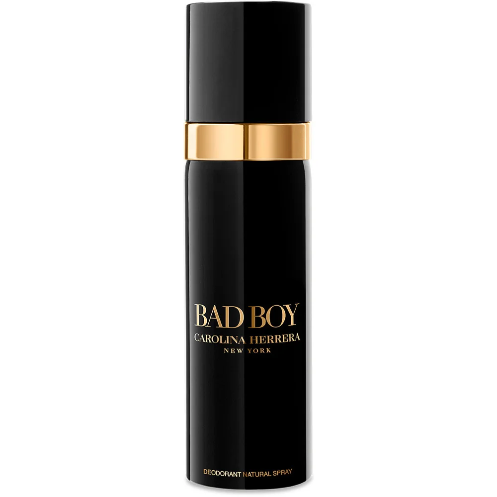 Bad Boy Deodorant Spray, 100ml v:3235116