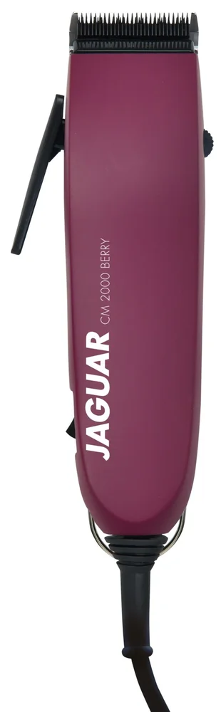 JAGUAR CM 2000 Berry v:3210630