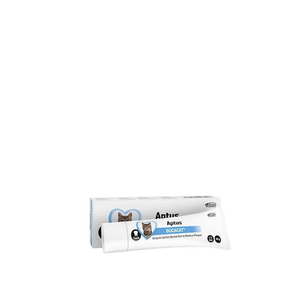 Aptus Bucacat Pasta 45g v:6375660