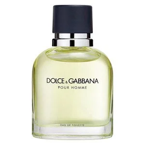 Dolce&Gabbana Pour Homme Eau De Toilette 75ml v:3330667