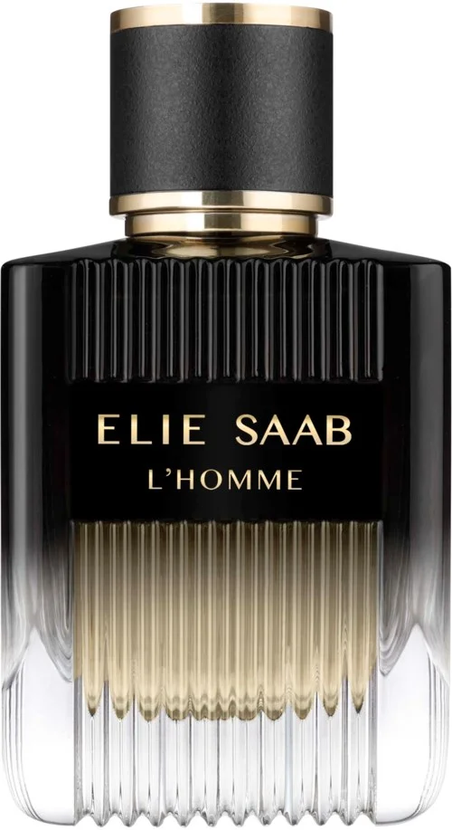 Elie Saab L’Homme Eau de Parfum 100 ml v:8869362