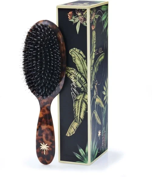 Fan Palm Medium Turtle brush v:5603737
